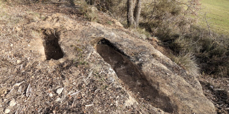 Éxito de la III Sarzola del Záncara en Abia de la Obispalia