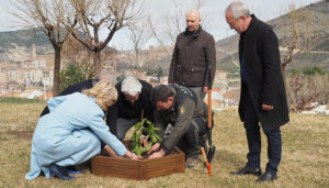 Un esqueje de la higuera del poeta Miguel Hernández ya forma parte de los jardines del MUPA