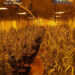 Cinco detenidos en El Casar tras desmantelar una plantación ‘indoor’ de marihuana 3 Cinco detenidos en El Casar tras desmantelar una plantación ‘indoor’ de marihuana