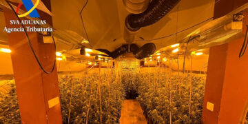 Cinco personas detenidas por plantar mucha marihuana en El Casar