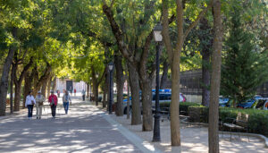 Clasificadas ocho ofertas para la nueva contrata de parques y jardines de Guadalajara