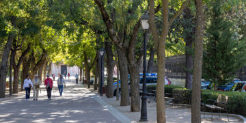 Clasificadas ocho ofertas para la nueva contrata de parques y jardines de Guadalajara