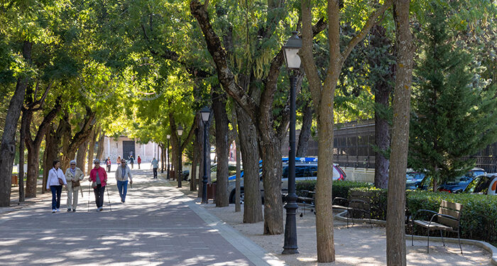 Clasificadas ocho ofertas para la nueva contrata de parques y jardines de Guadalajara 1 Clasificadas ocho ofertas para la nueva contrata de parques y jardines de Guadalajara