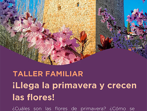 Conocer Guadalajara a través de sus plantas es la propuesta de la Concejalía de Turismo en una nueva edición de talleres familiares 1 Conocer Guadalajara a través de sus plantas es la propuesta de la Concejalía de Turismo en una nueva edición de talleres familiares