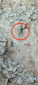 Desactivada una granada de mortero de la Guerra Civil incrustada en un muro en Escariche