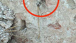 Desactivada una granada de mortero de la Guerra Civil incrustada en un muro en Escariche