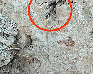 Desactivada una granada de mortero de la Guerra Civil incrustada en un muro en Escariche