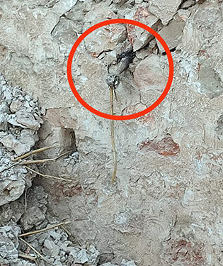 Desactivada una granada de mortero de la Guerra Civil incrustada en un muro en Escariche 1 Desactivada una granada de mortero de la Guerra Civil incrustada en un muro en Escariche