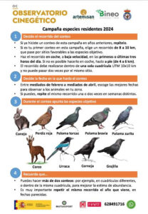 El Observatorio Cinegético inicia nueva campaña de especies residentes y censos nocturnos