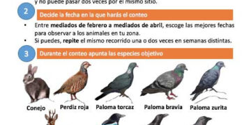 El Observatorio Cinegético inicia nueva campaña de especies residentes y censos nocturnos
