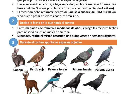 El Observatorio Cinegético inicia nueva campaña de especies residentes y censos nocturnos