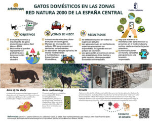 España suma evidencias de la amenaza de los gatos domésticos en el medio natural con un estudio en zonas Red Natura 2000