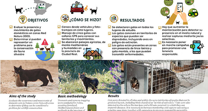 España suma evidencias de la amenaza de los gatos domésticos en el medio natural con un estudio en zonas Red Natura 2000