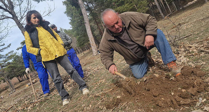 Guadalajara ya cuenta con más de 30.000 hectáreas certificadas bajo el estándar FSC