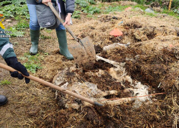 Investigado en Uceda el propietario de una explotación ganadera con multitud de animales muertos por falta de cuidado Investigado en Uceda el propietario de una explotación ganadera con multitud de animales muertos por falta de cuidado