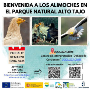 La Junta organiza una jornada de observación de alimoches durante su migración en el Parque Natural del Alto Tajo