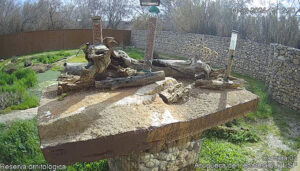 La Reserva Ornitológica de Azuqueca incorpora dos cámaras para la observación de aves