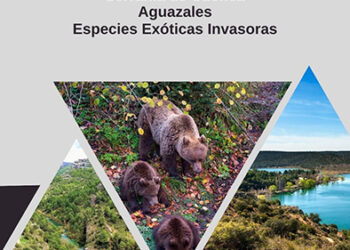 La Sala de Exposiciones Iberia acoge la exposición de temática ambiental ‘Aguazudes, Biodiversidad, Especiales Invasoras y Serranía de Cuenca’