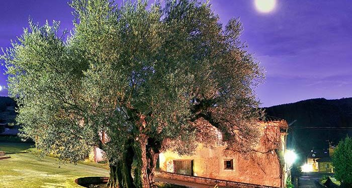 La Sierra Norte de Guadalajara gana población por primera vez desde 2010