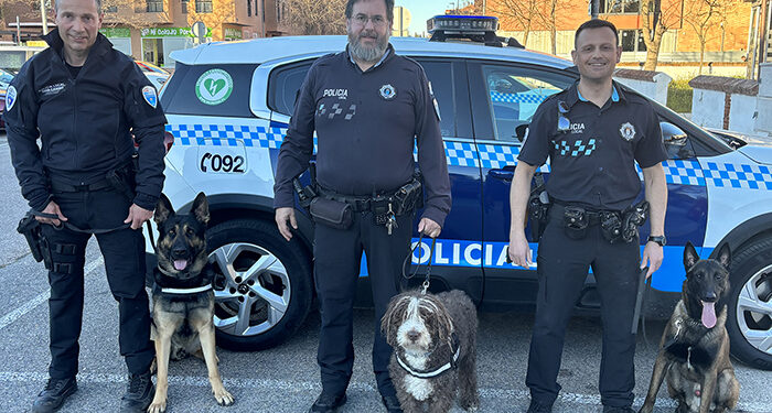 La unidad canina de la Policía Local de Azuqueca suma 205 aprehensiones de estupefacientes y dos detenciones 1 La unidad canina de la Policía Local de Azuqueca suma 205 aprehensiones de estupefacientes y dos detenciones
