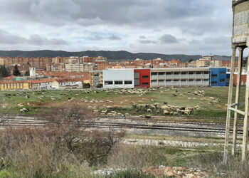 Los terrenos del ferrocarril