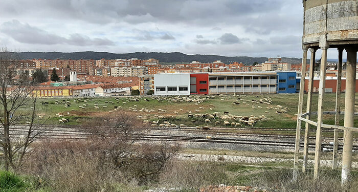 Los terrenos del ferrocarril 1 Los terrenos del ferrocarril