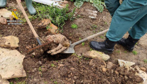 PACMA anuncia que se personará en el caso de maltrato animal en una explotación ganadera de Uceda