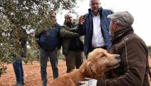 Una de cada cuatro ayudas al inicio de actividad empresarial en Castilla-La Mancha se han concedido en zonas afectadas por la despoblación