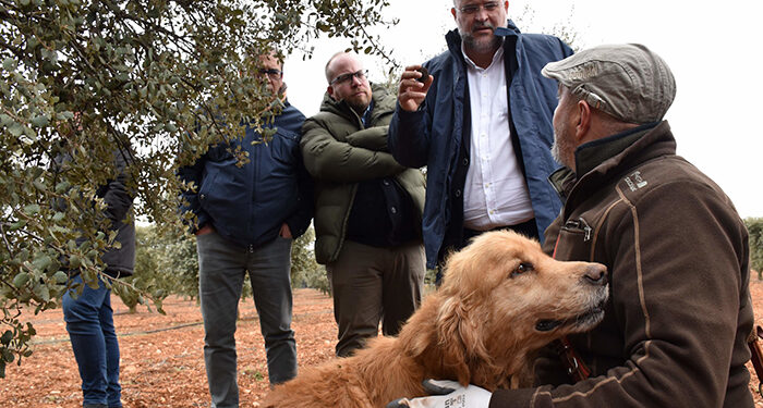 Una de cada cuatro ayudas al inicio de actividad empresarial en Castilla-La Mancha se han concedido en zonas afectadas por la despoblación