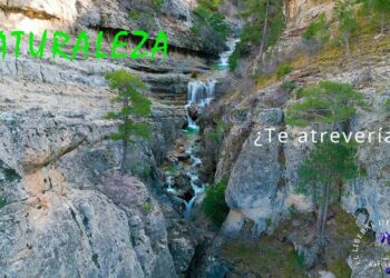 Vídeo 4K. Naturaleza. ¿Te atreverías?