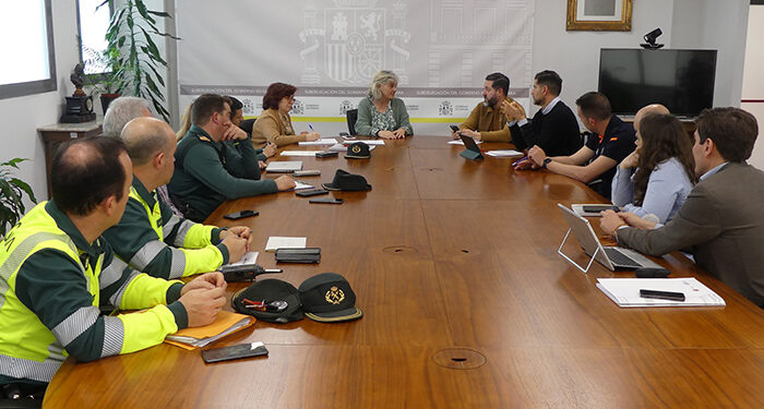 Brihuega planifica el dispositivo de seguridad para los eventos masivos que acogerá la localidad