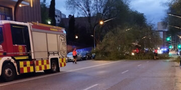 Cae un árbol de grandes dimensiones sobre tres vehículos en la calle Toledo