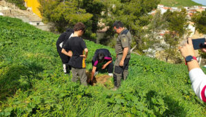 Celebración del Día del Árbol en Huete