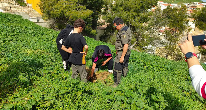 Celebración del Día del Árbol en Huete 1 Celebración del Día del Árbol en Huete