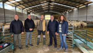 El Gobierno de Castilla-La Mancha garantiza su ayuda para incorporar a todos los jóvenes que lo deseen al sector agrario y ganadero