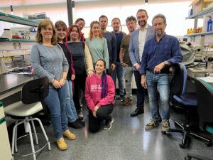 El Gobierno regional destina más de 182.000 euros a la investigación de medidas de actuación preventivas y restauración en grandes incendios forestales