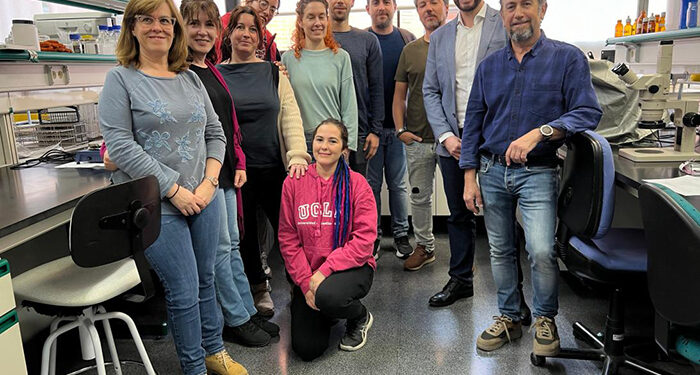 La Junta destina más de 182.000 euros a la investigación de medidas de actuación preventivas y restauración en grandes incendios forestales 1 El Gobierno regional destina más de 182.000 euros a la investigación de medidas de actuación preventivas y restauración en grandes incendios forestales