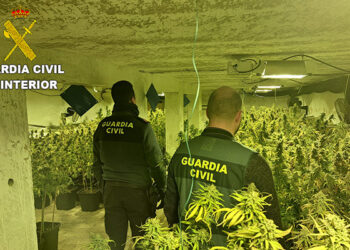 En Villanueva de la Jara y Vara del Rey habrá menos marihuana esta Semana Santa