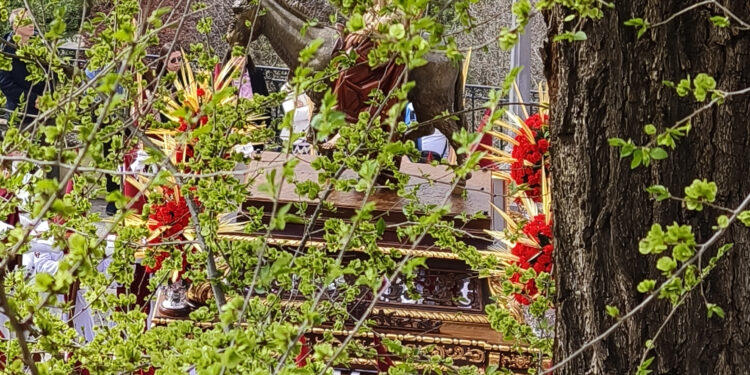 Ramos de imágenes del Liberal de Castilla