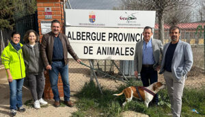 La Diputación de Cuenca pone en marcha el proyecto para el control de colonias felinas en 28 municipios de la provincia