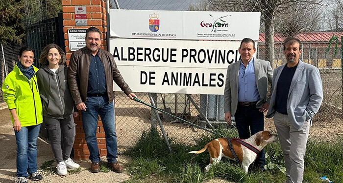 La Diputación de Cuenca pone en marcha el proyecto para el control de colonias felinas en 28 municipios de la provincia