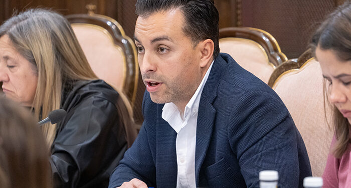 La Diputación de Guadalajara aprueba las inversiones que financiará el FIM 2024 en los diez municipios cabecera de comarca 1 La Diputación de Guadalajara aprueba las inversiones que financiará el FIM 2024 en los diez municipios cabecera de comarca