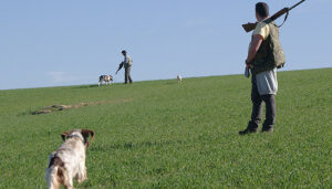 La primera Feria de la Caza de la Diputación de Cuenca ya tiene fechas, los días 21, 22 y 23 de junio en el recinto de La Hípica