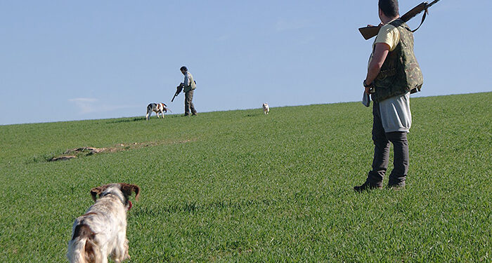 Abierta la temporada hábil de caza menor y mayor en Castilla-La Mancha 1 La primera Feria de la Caza de la Diputación de Cuenca ya tiene fechas, los días 21, 22 y 23 de junio en el recinto de La Hípica