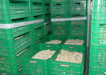 CEOE CEPYME Cuenca indica que el año 2024 prosigue la dinámica negativa en cuanto a exportaciones