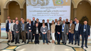 Productores y representantes de ajo de Europa analizan en Italia la próxima campaña y la situación de los mercados