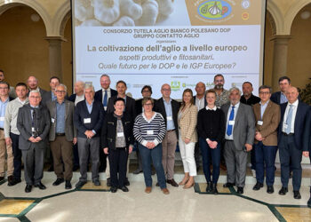 Productores y representantes de ajo de Europa analizan en Italia la próxima campaña y la situación de los mercados