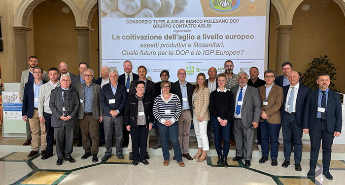 Productores y representantes de ajo de Europa analizan en Italia la próxima campaña y la situación de los mercados