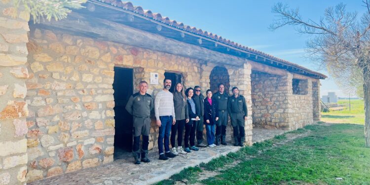 Recuperada la vía pecuaria que transcurre por Las Pedroñeras