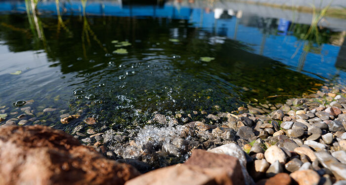 Varios colectivos reclaman una reunión con la Junta tras la sentencia europea que señala la falta de acción de Castilla-La Mancha frente a la contaminación por nitratos